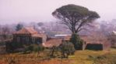 Piano Sviluppo Rurale: bando per le misure agroambientali